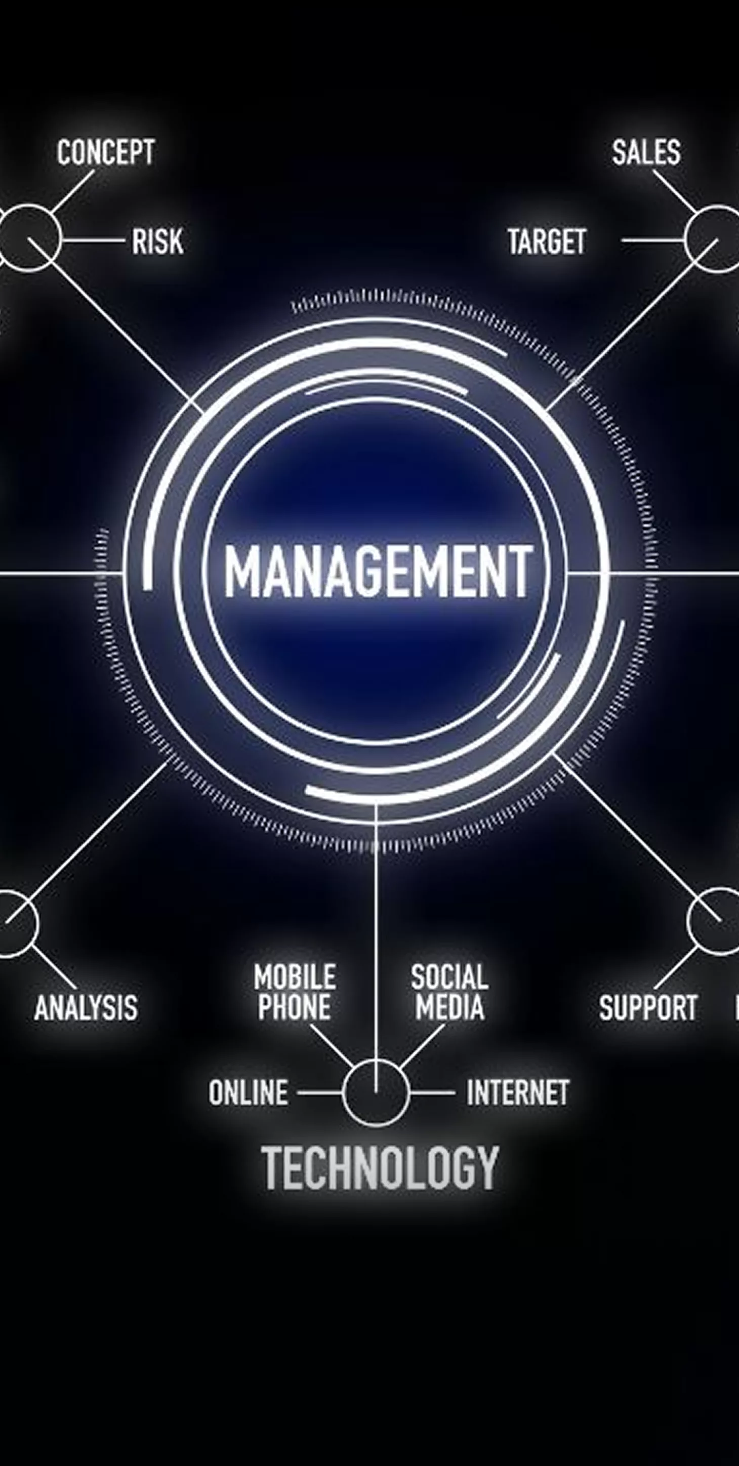 Pilot MVP Development