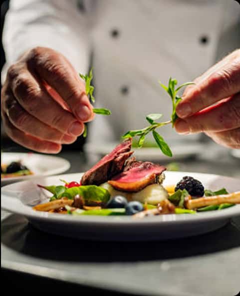 Food & Restaurant