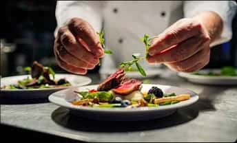 Food & Restaurant