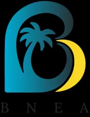BNEA News App