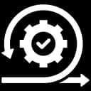Development Execution