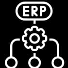 Enterprise Software Development white