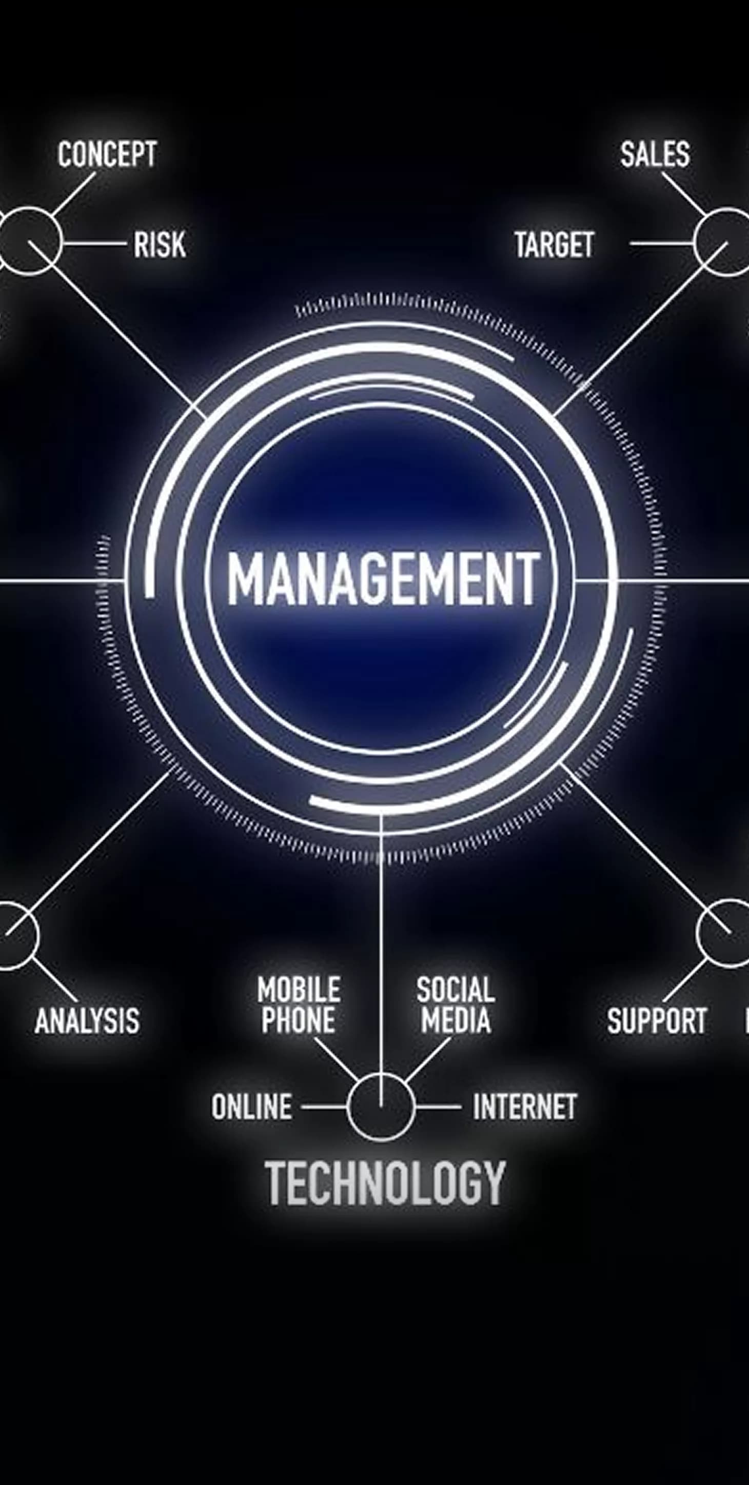 Pilot MVP Development