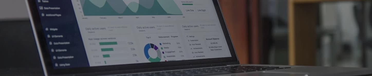 Sustainable Digital Growth Framework